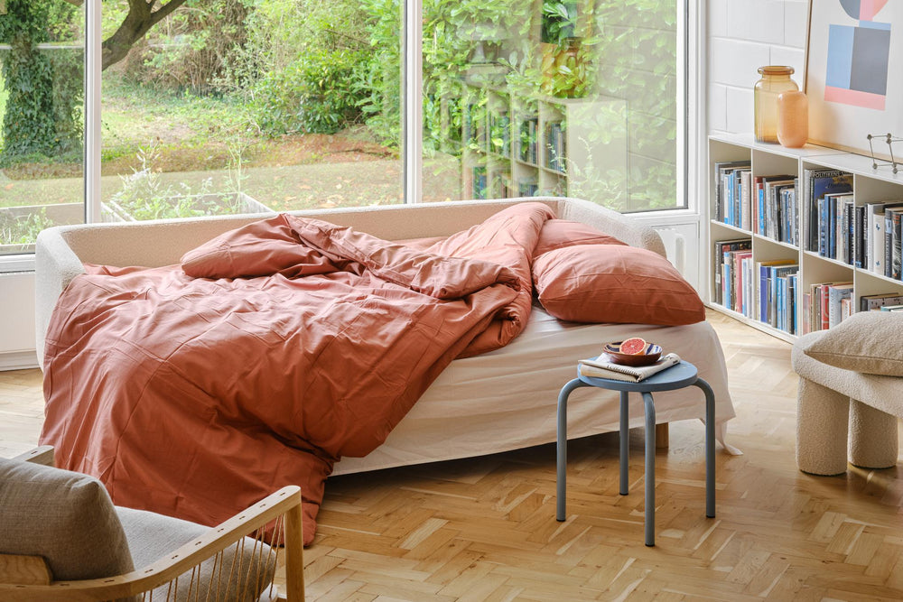 Sleeper Sofas
