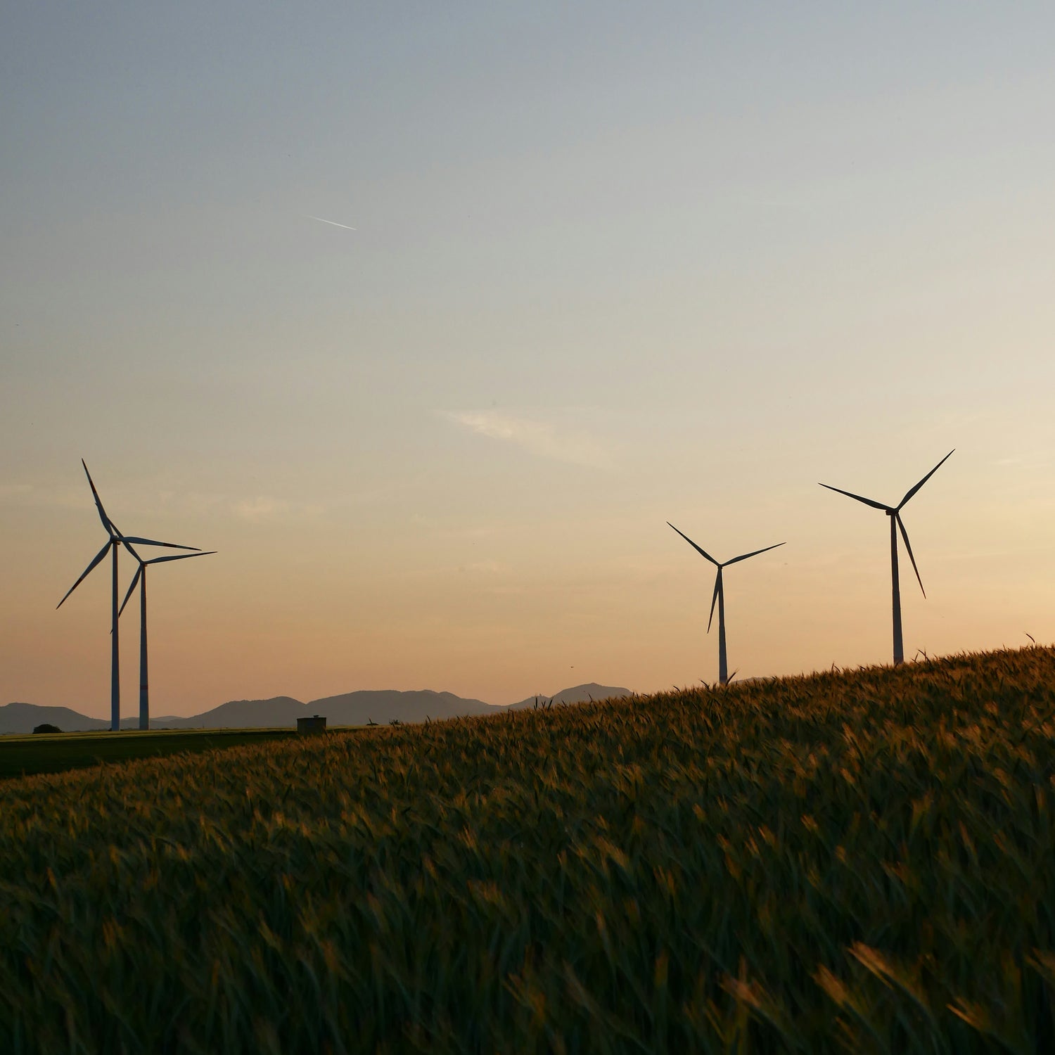 A sustainable future